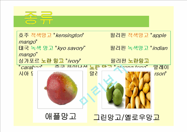 망고(MANGO)의 기원과 종류,재배방법,구성성분,조리방법   (4 )